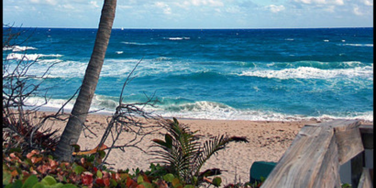 FloridaProbz's profile banner image