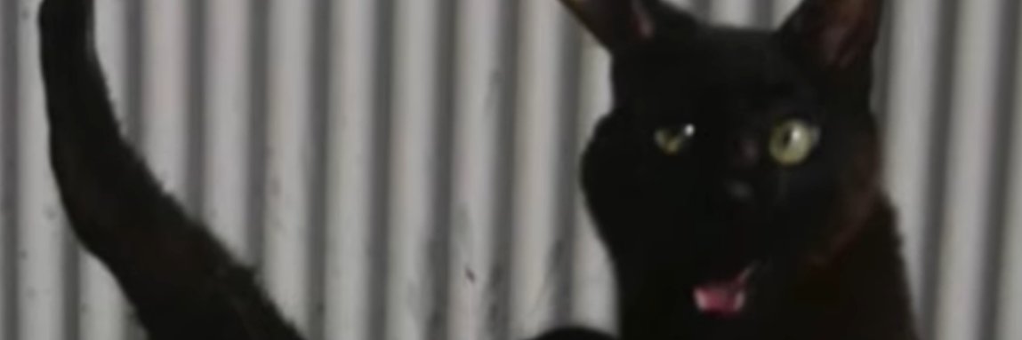 ナ･O banner