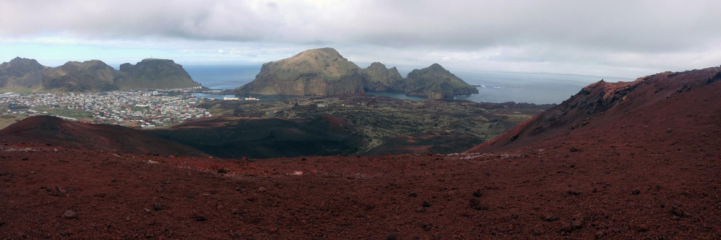 Mr. David Wininger banner