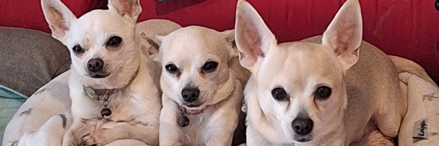 Alexandra B Weiss banner