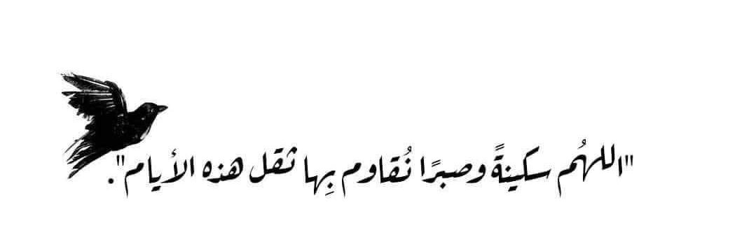 LOTFE 🇸🇦 banner