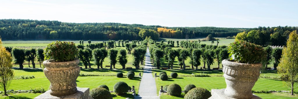 Yearling Sale banner