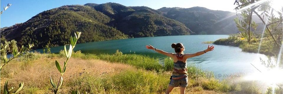 algcoucou's profile banner image