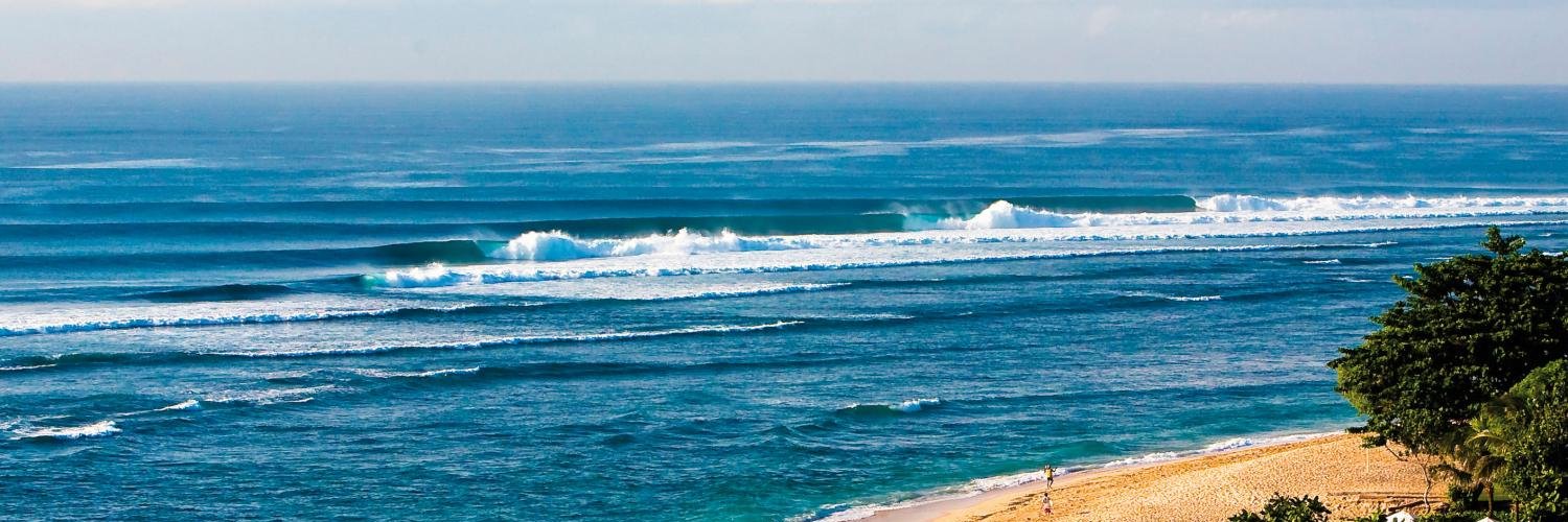 indosurf's profile banner image
