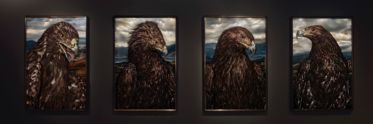 Hamiltons Gallery banner