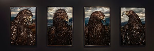 HamiltonsGall Profile Banner