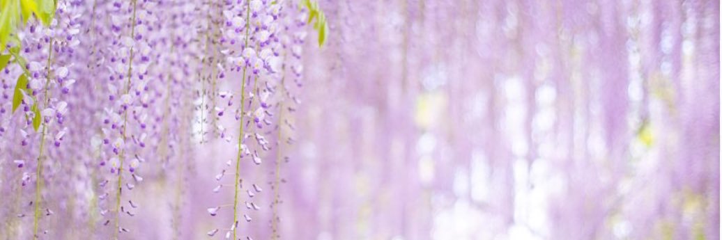 brittg527's profile banner image
