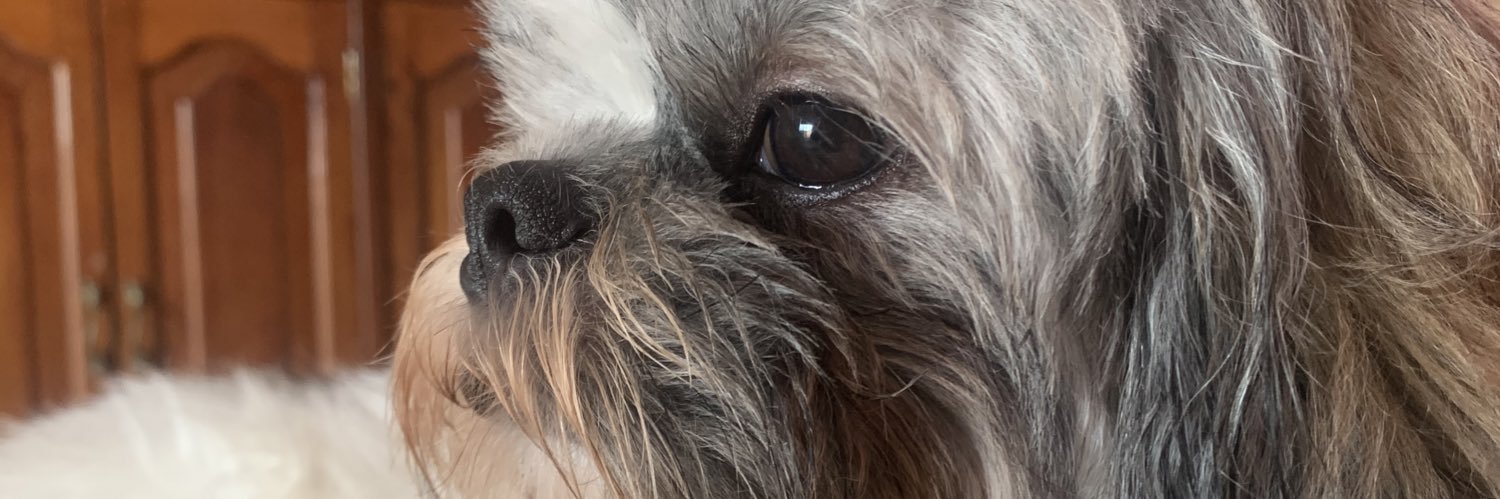 AAbbrriiLLLL's profile banner image