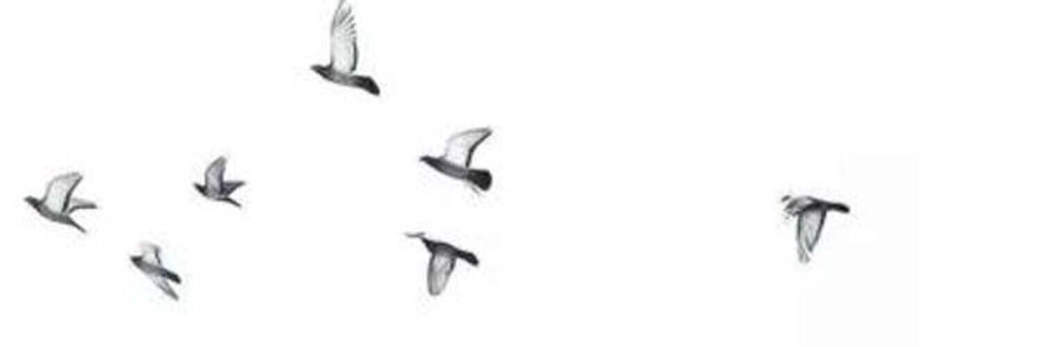 فاطمة الشهري banner