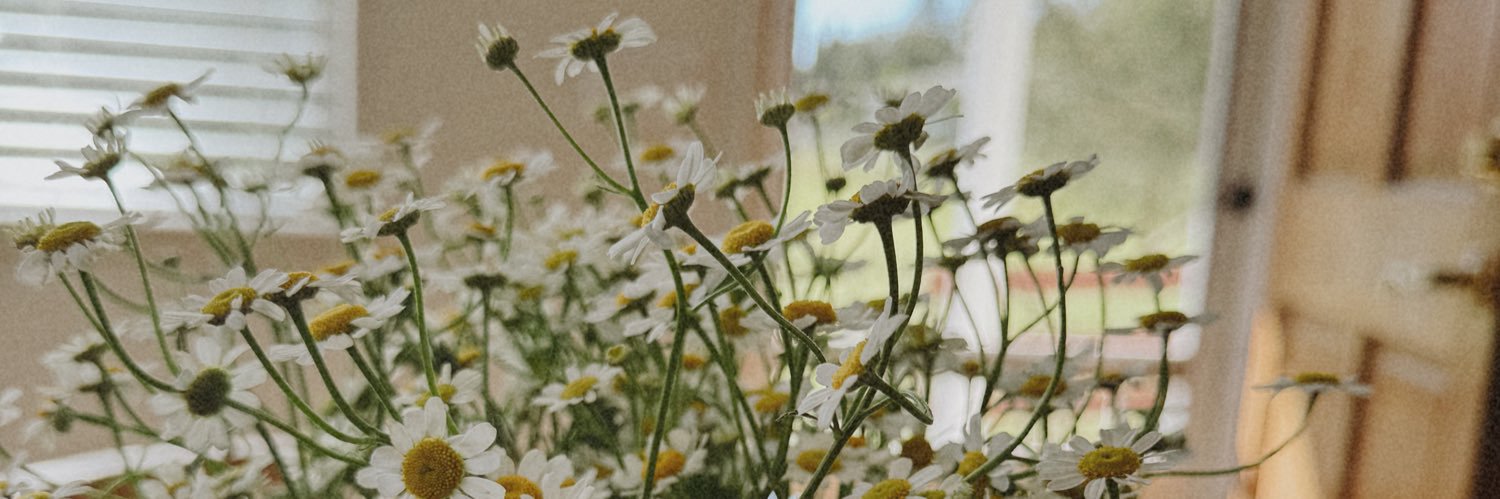 kla_moretti's profile banner image