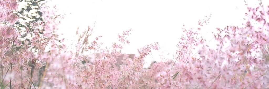 Ki_zzZ's profile banner image