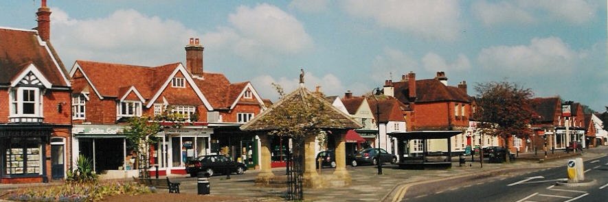 Rosemary French banner