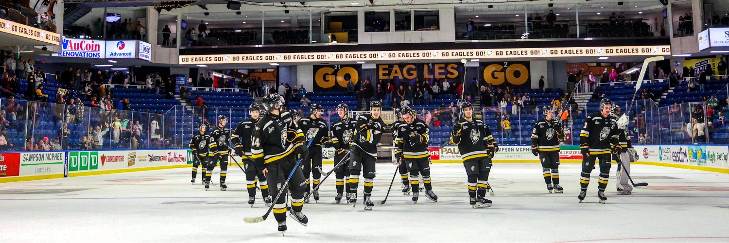 Cape Breton Eagles banner
