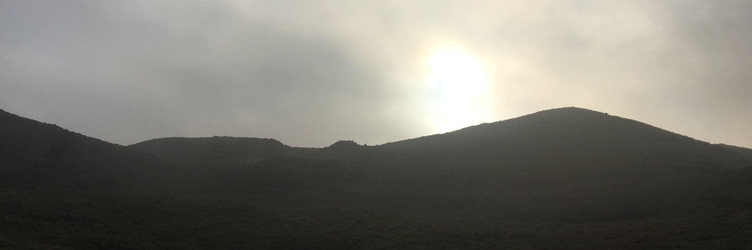 MarcoDanelli3's profile banner image