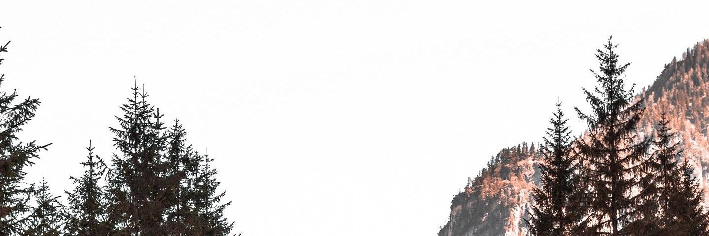 jungcorp🏳️‍🌈 banner