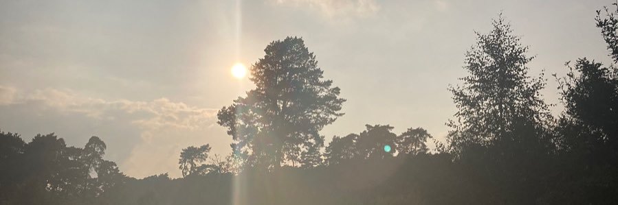 Georgia Clarke banner