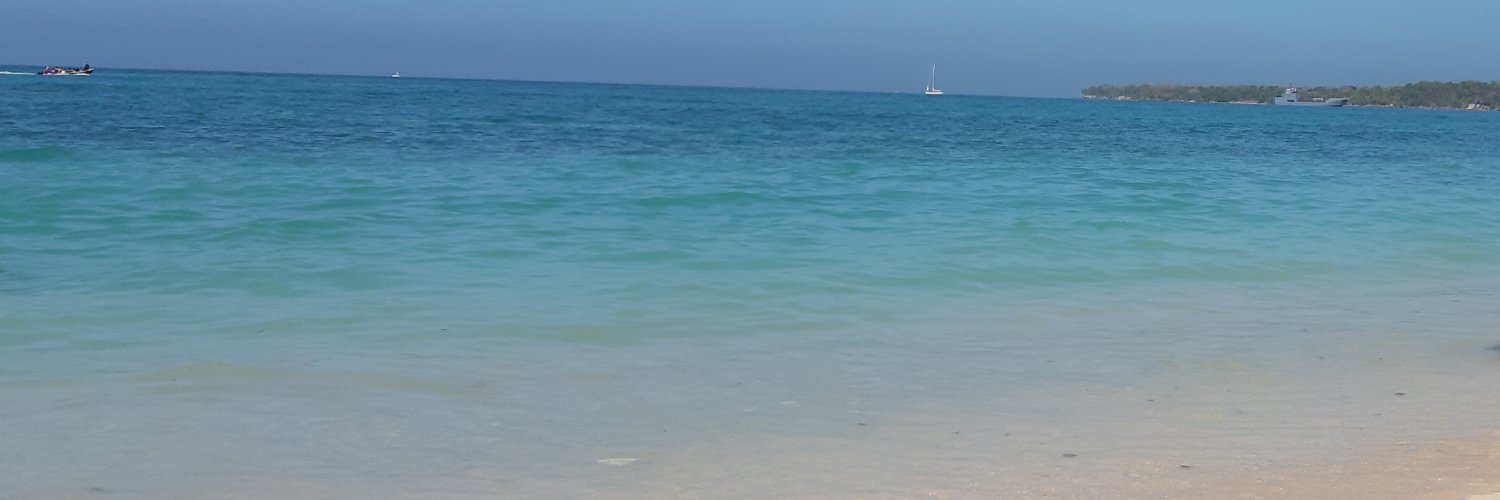 vickypabon's profile banner image
