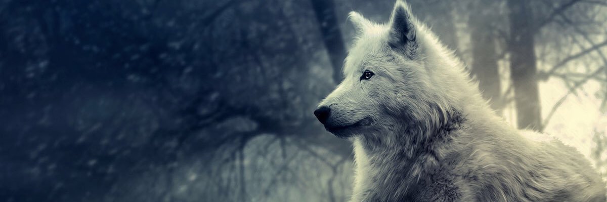 JereKid3's profile banner image