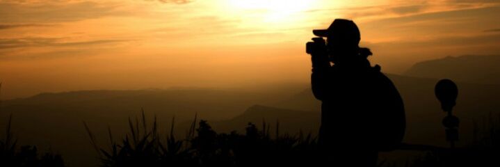 theis_cesar's profile banner image
