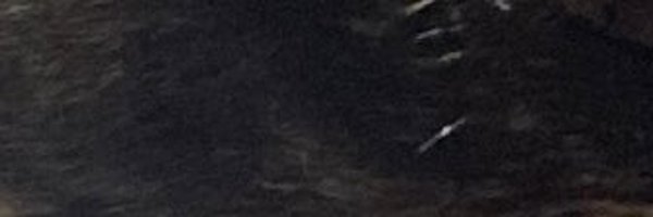 tragickoo Profile Banner