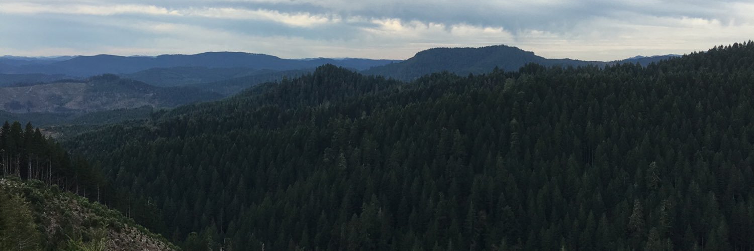 a_mfoster's profile banner image