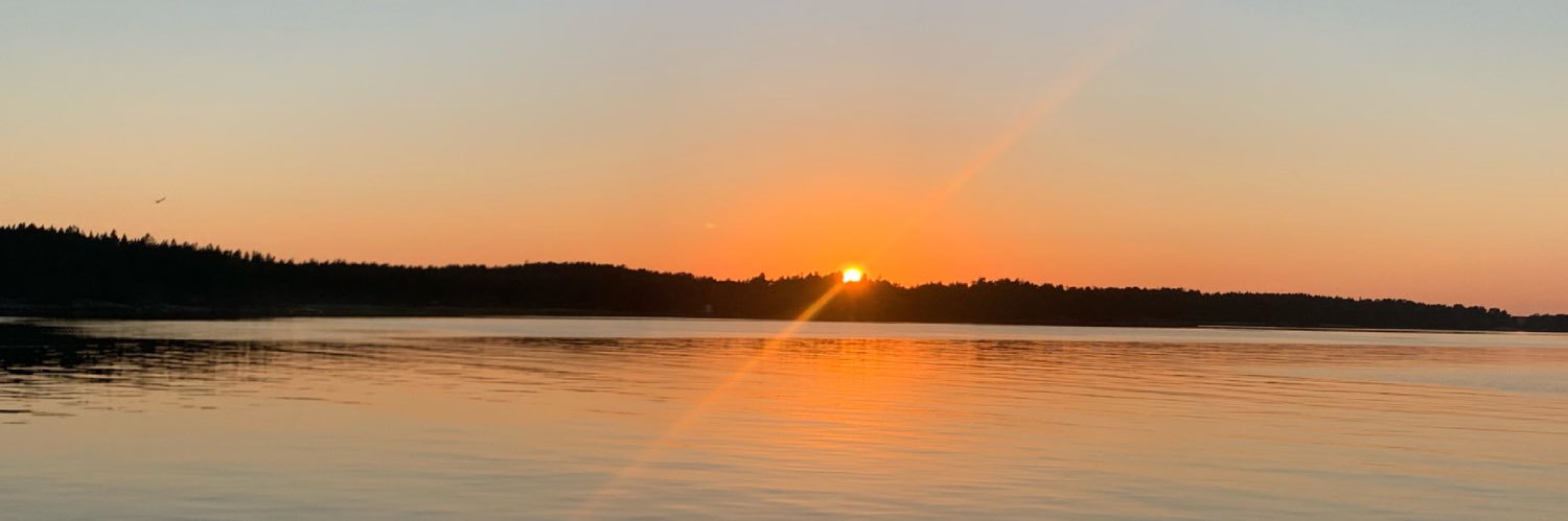 Elina Kauppila banner