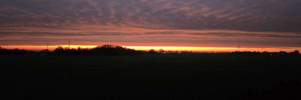 FFlausch Profile Banner