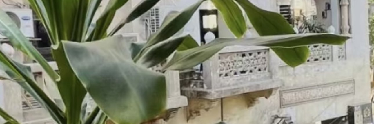 hnoood666's profile banner image