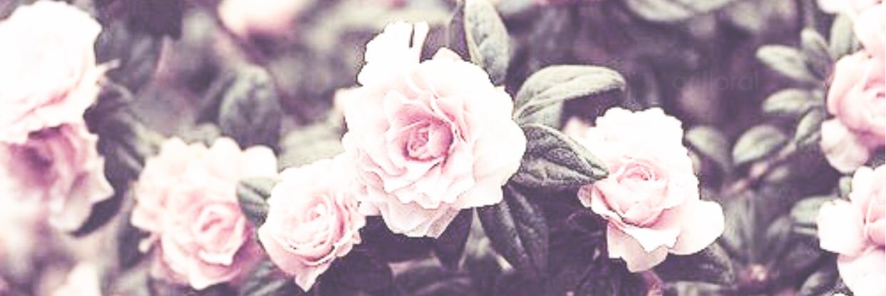 MajeeRollBlunts's profile banner image