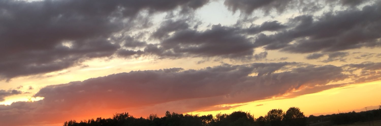 mady_kovach's profile banner image
