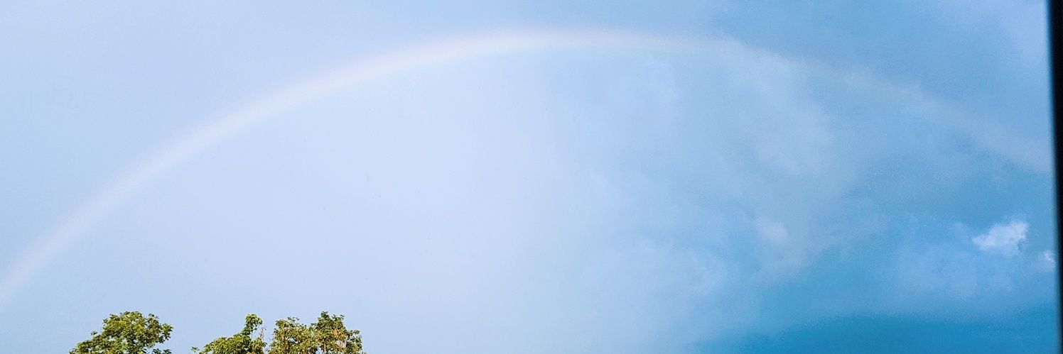 mayaramon3's profile banner image