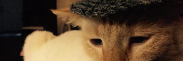 LizzyKnap Profile Banner