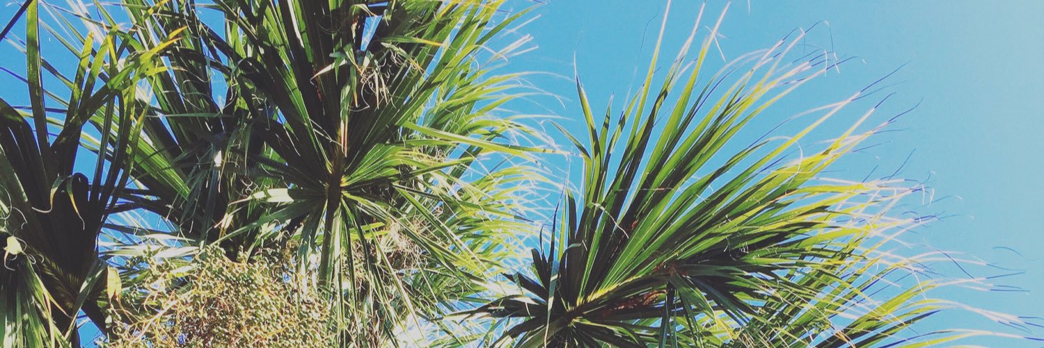 allyson sutton banner