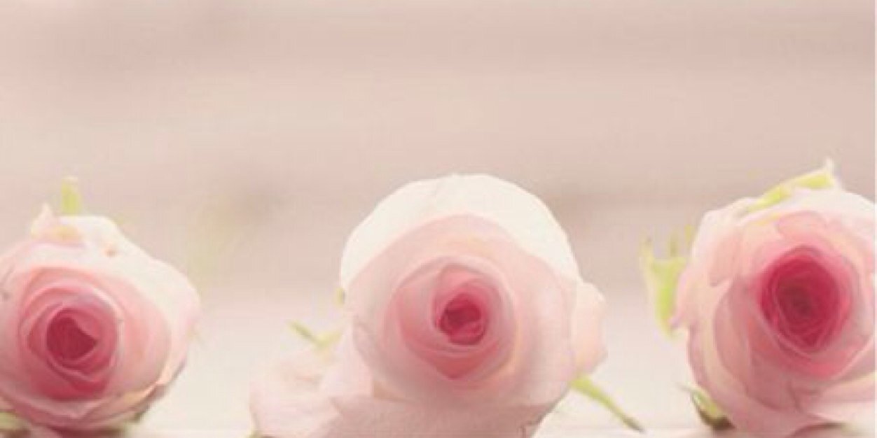 wishqtr's profile banner image