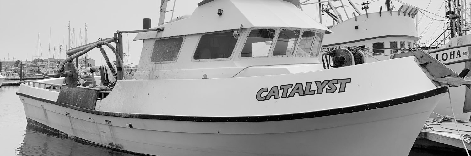 CatalystSeafood's profile banner image