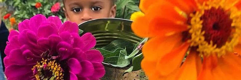 paulusfarm's profile banner image