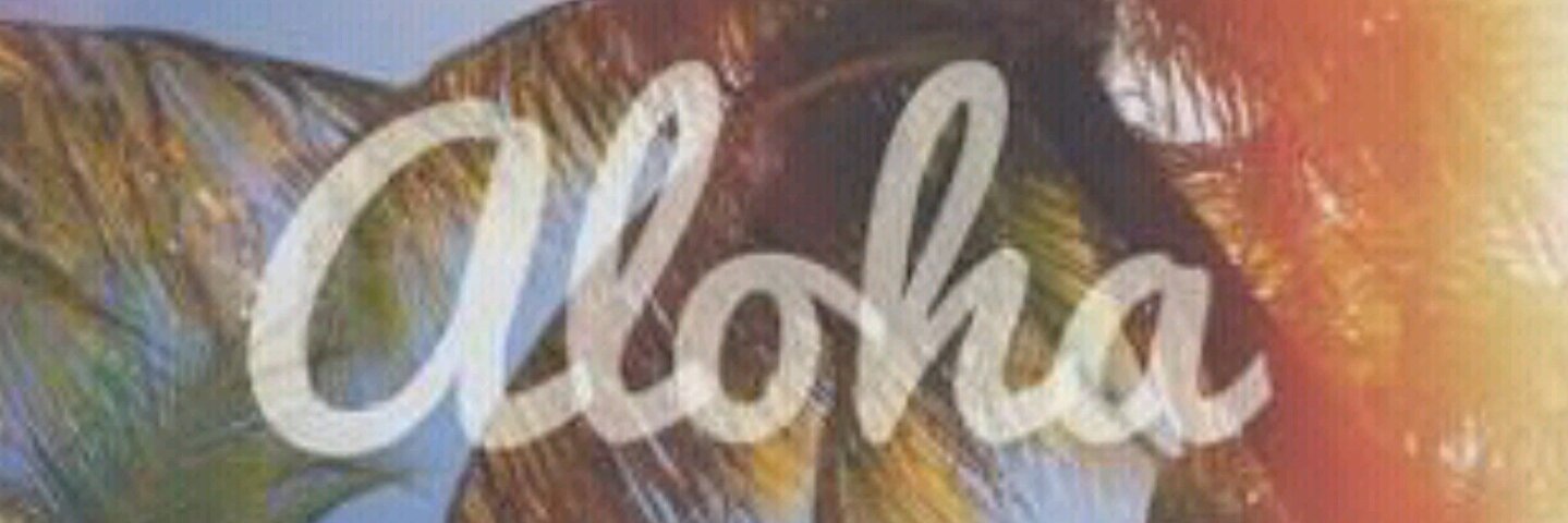 AMANDABAROTTI's profile banner image