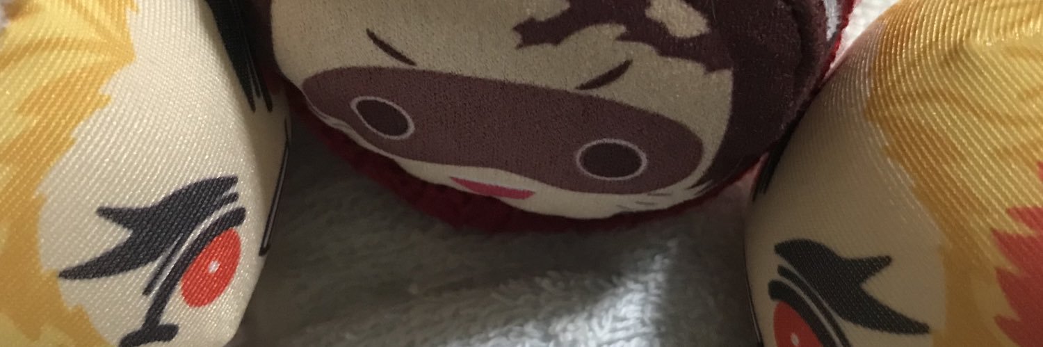 nanami_rolo's profile banner image