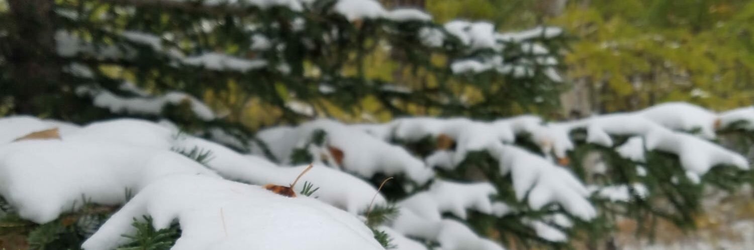 Real_Bele_Payne's profile banner image