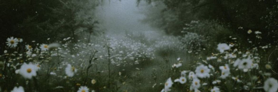 Pascalmon | REDEBUT 2026 🐾 banner