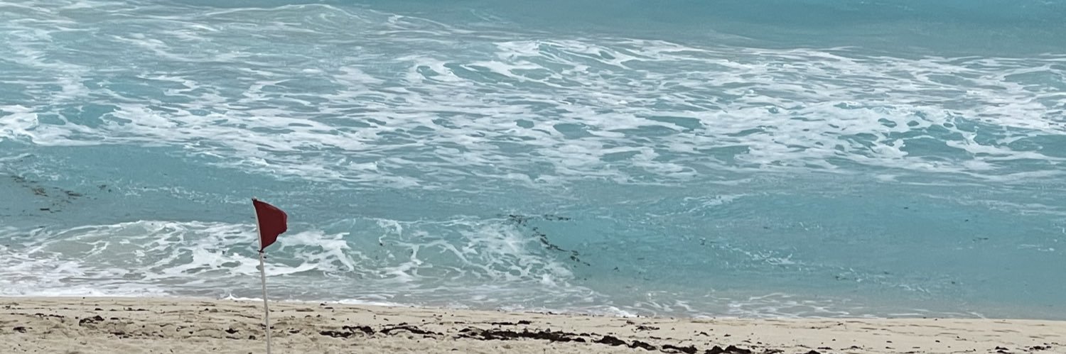 L3VI_JR's profile banner image
