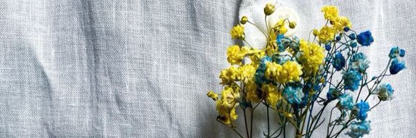 hutsulka_kris Profile Banner