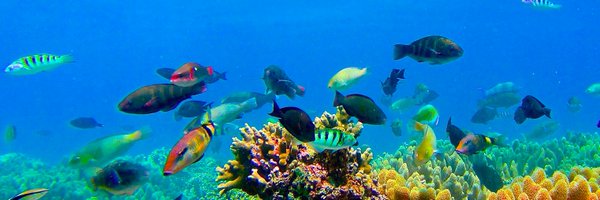 DiversifyEEB Profile Banner