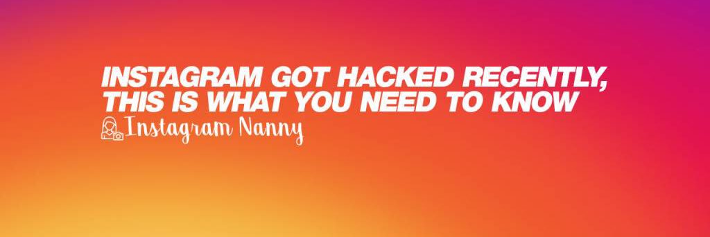 Instagram Nanny banner