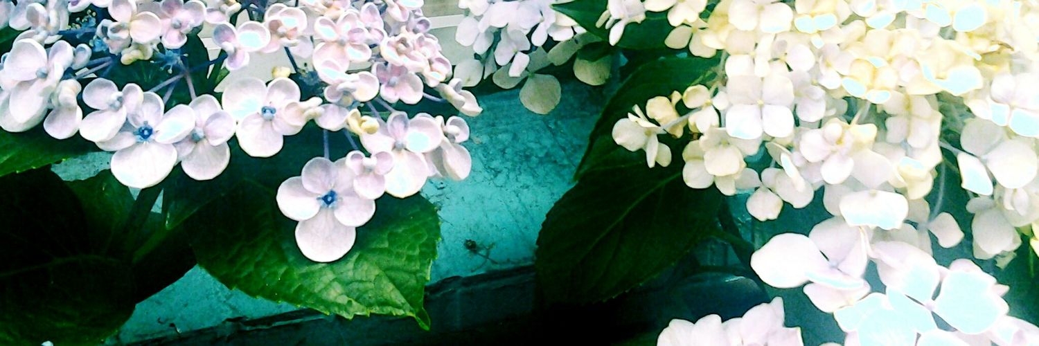 smallstudent's profile banner image