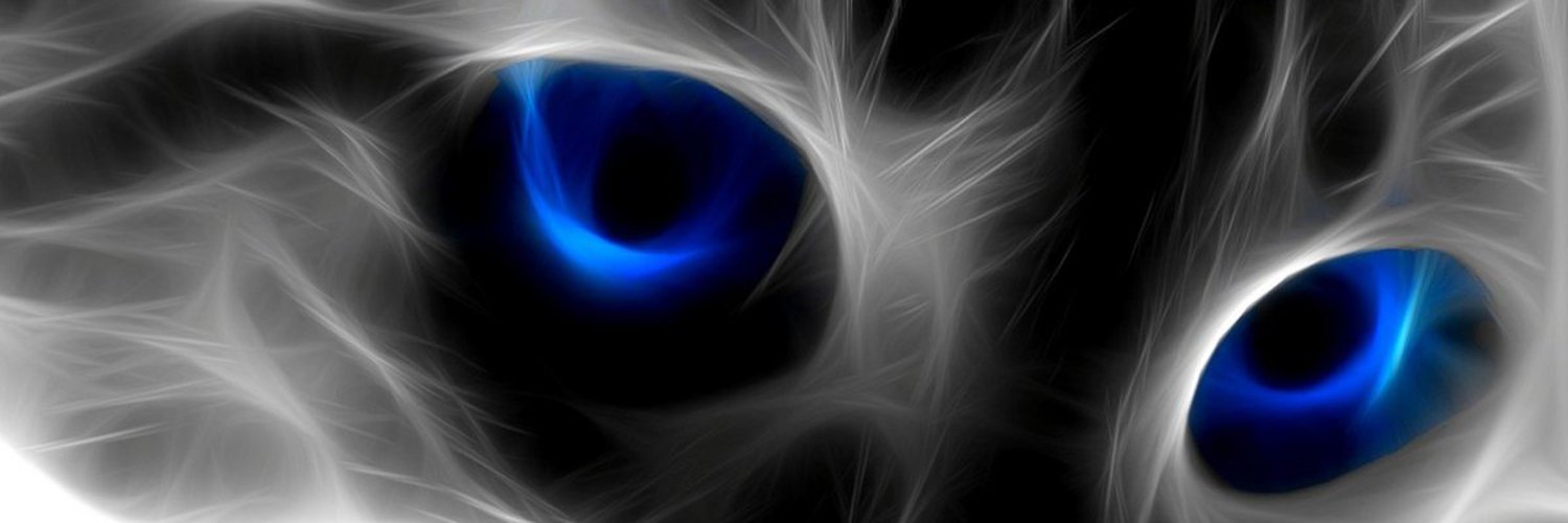 usmanaligul's profile banner image