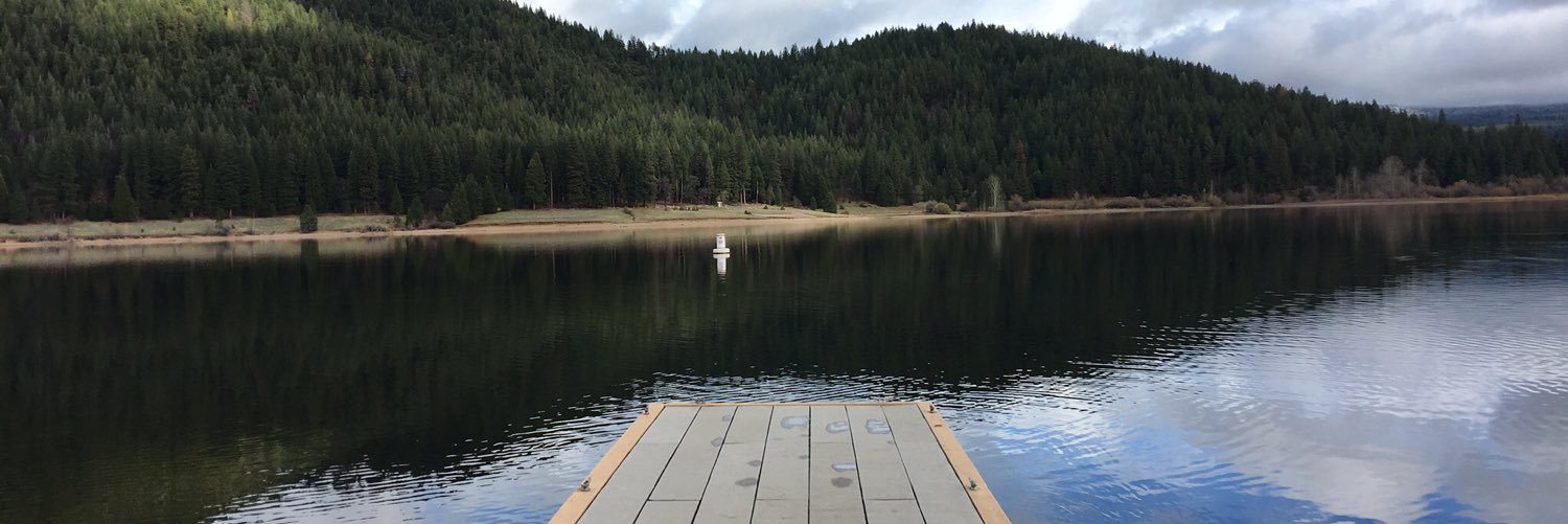 Shimon Ben David banner