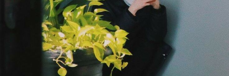 zi banner