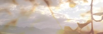 lois banner