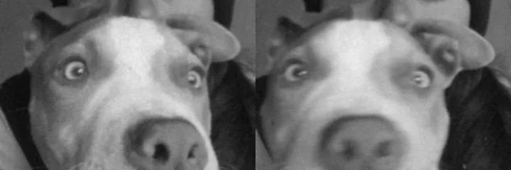 CandeMilla26's profile banner image